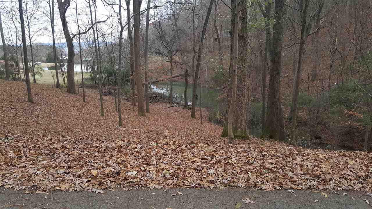 0 Tomahawk Circle - Photo 1