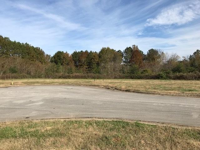 Lot 19 Trade Drive - Photo 1