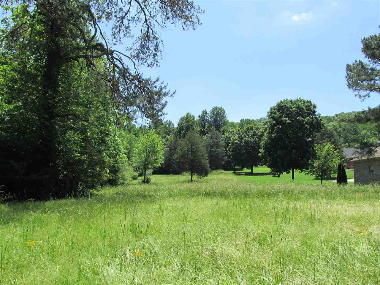 00 Pulaski Pike - Photo 1