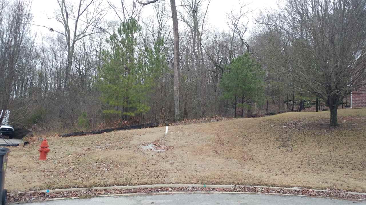 00 Maryland Drive - Photo 1
