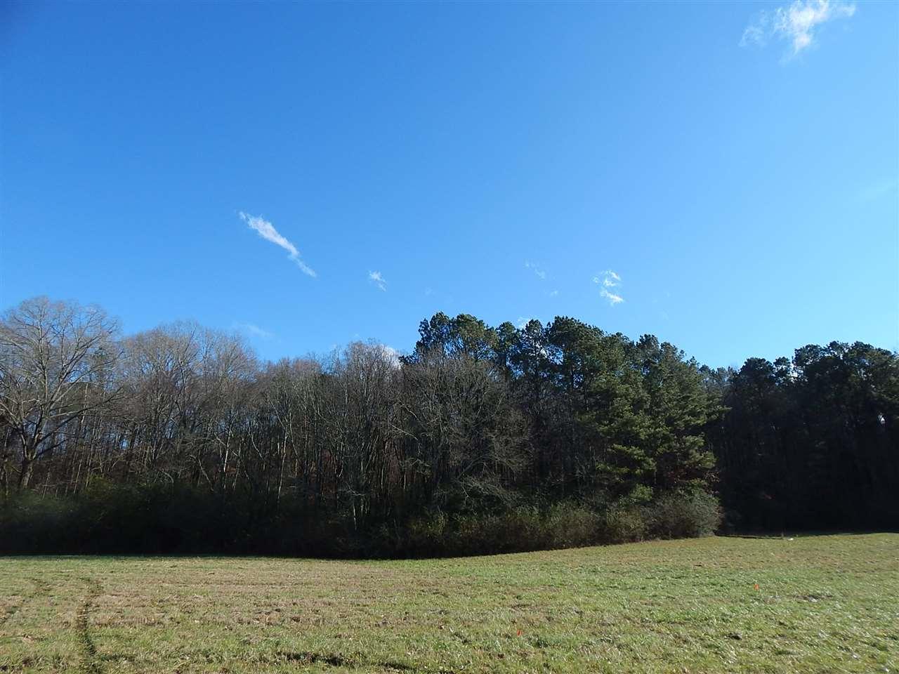4611 Browns Valley Road - Photo 1