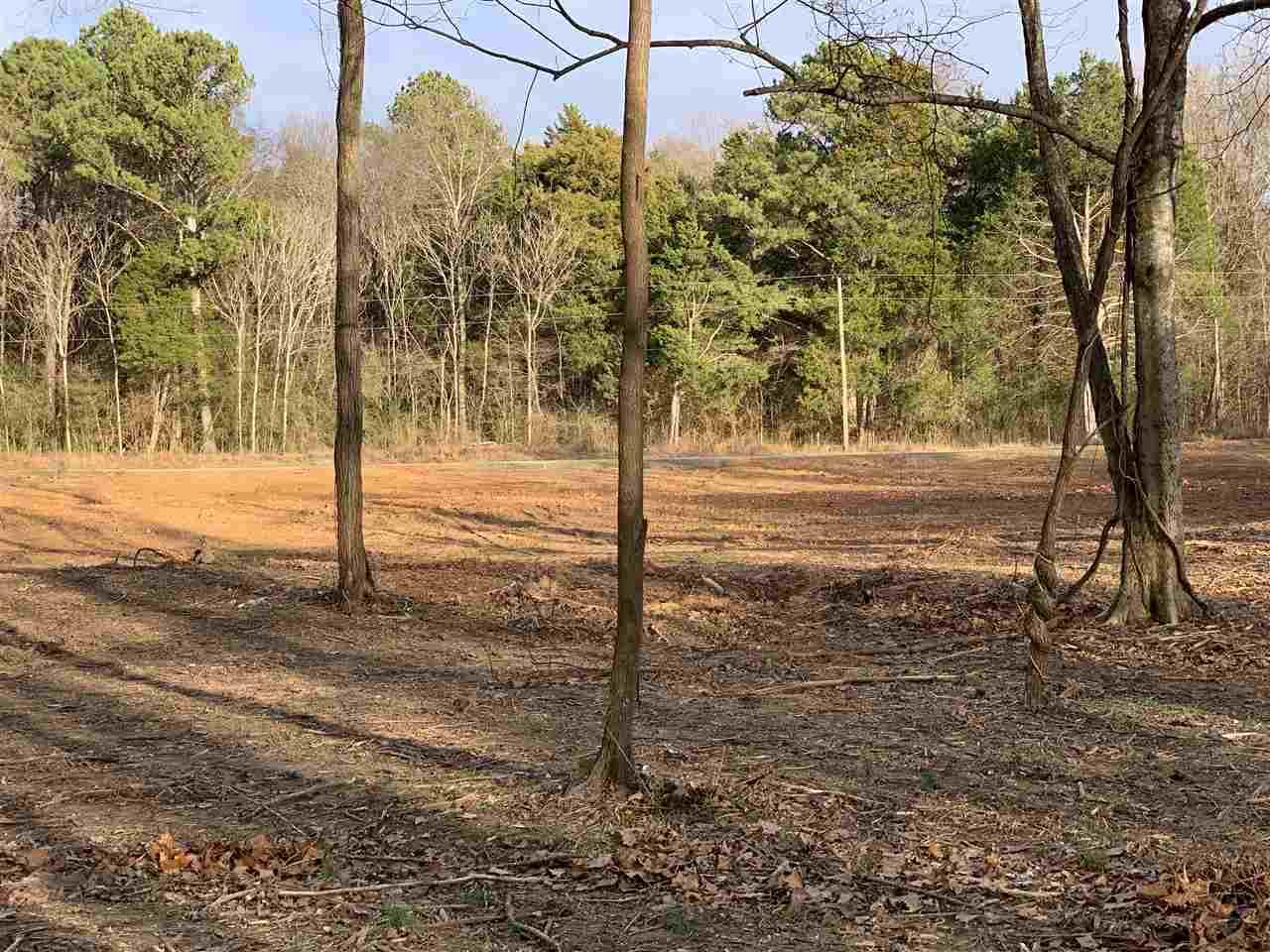 Cedar Crest Drive - Photo 1