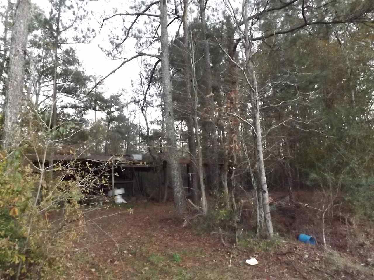 0 Coley Lane - Photo 1