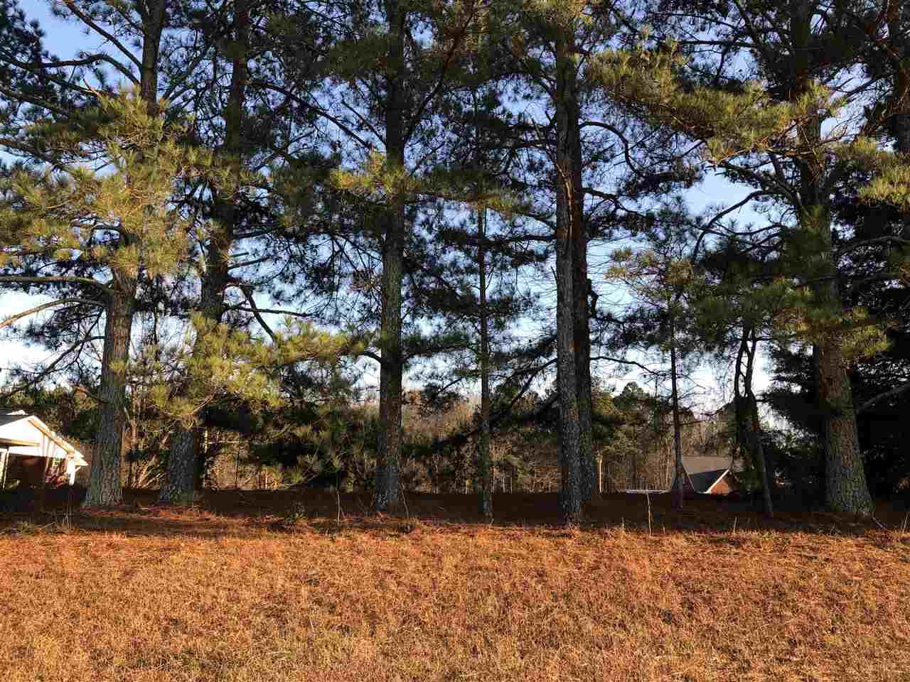 Cedar Bluff Road - Photo 1