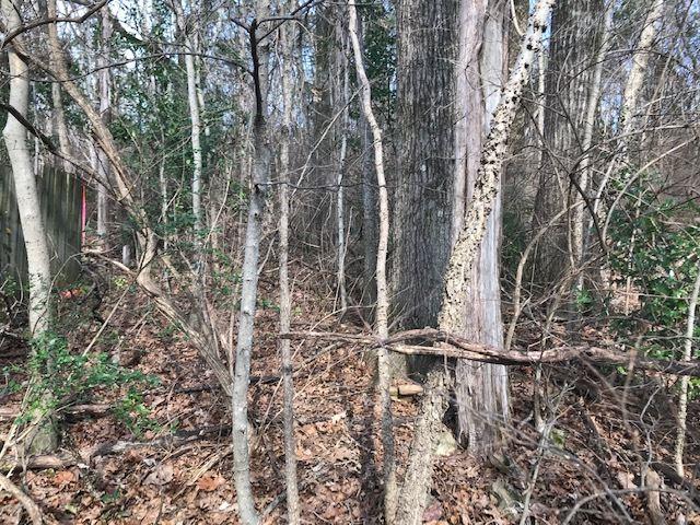 0 Four Mile Post Road - Photo 1
