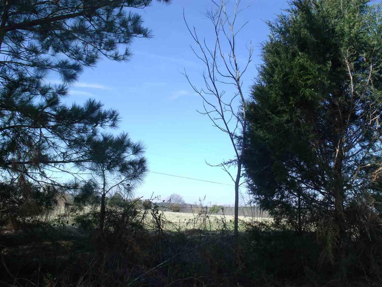A Ragstone Drive - Photo 1
