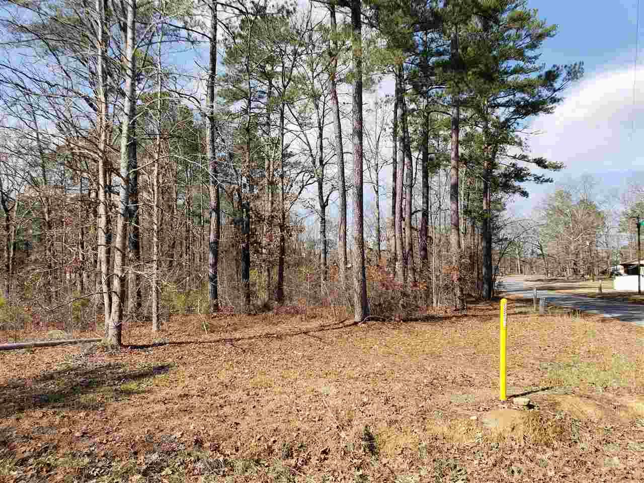 Lot 51 Woodmont Road - Photo 1