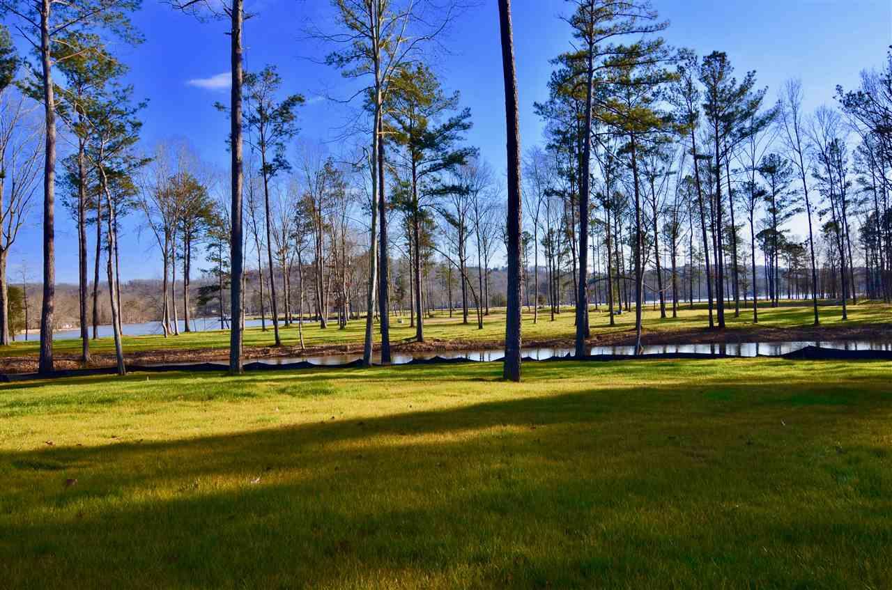 Lot 23 Charlotte Lane - Photo 1