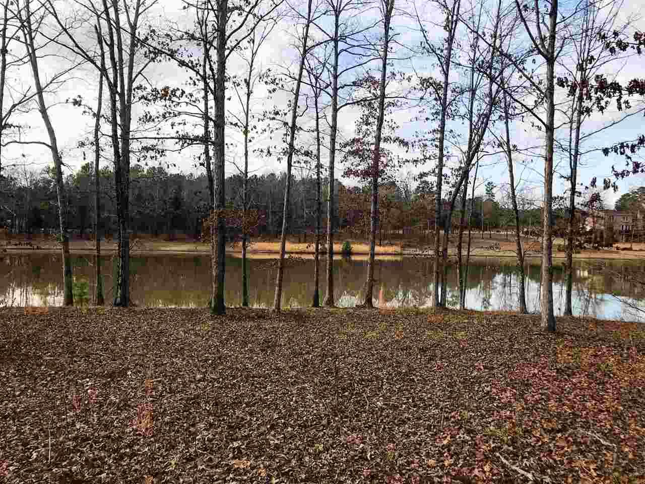 Willow Trace - Photo 1