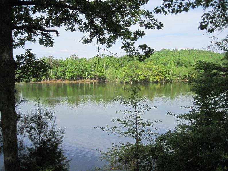 241 County Road 954 - Photo 1