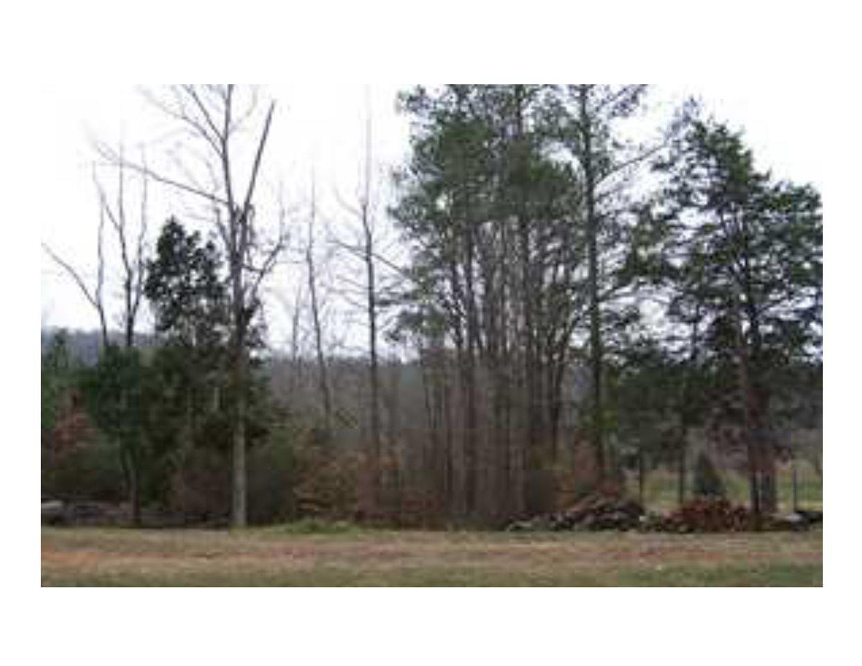 0 Lacon Road - Photo 1