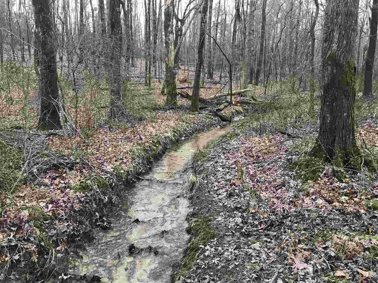 Lot 24 Daisy Lane - Photo 1