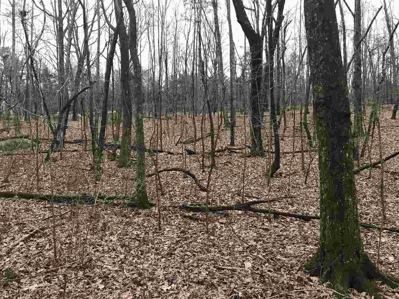 Lot 25 & pt. of Daisy Lane - Photo 1