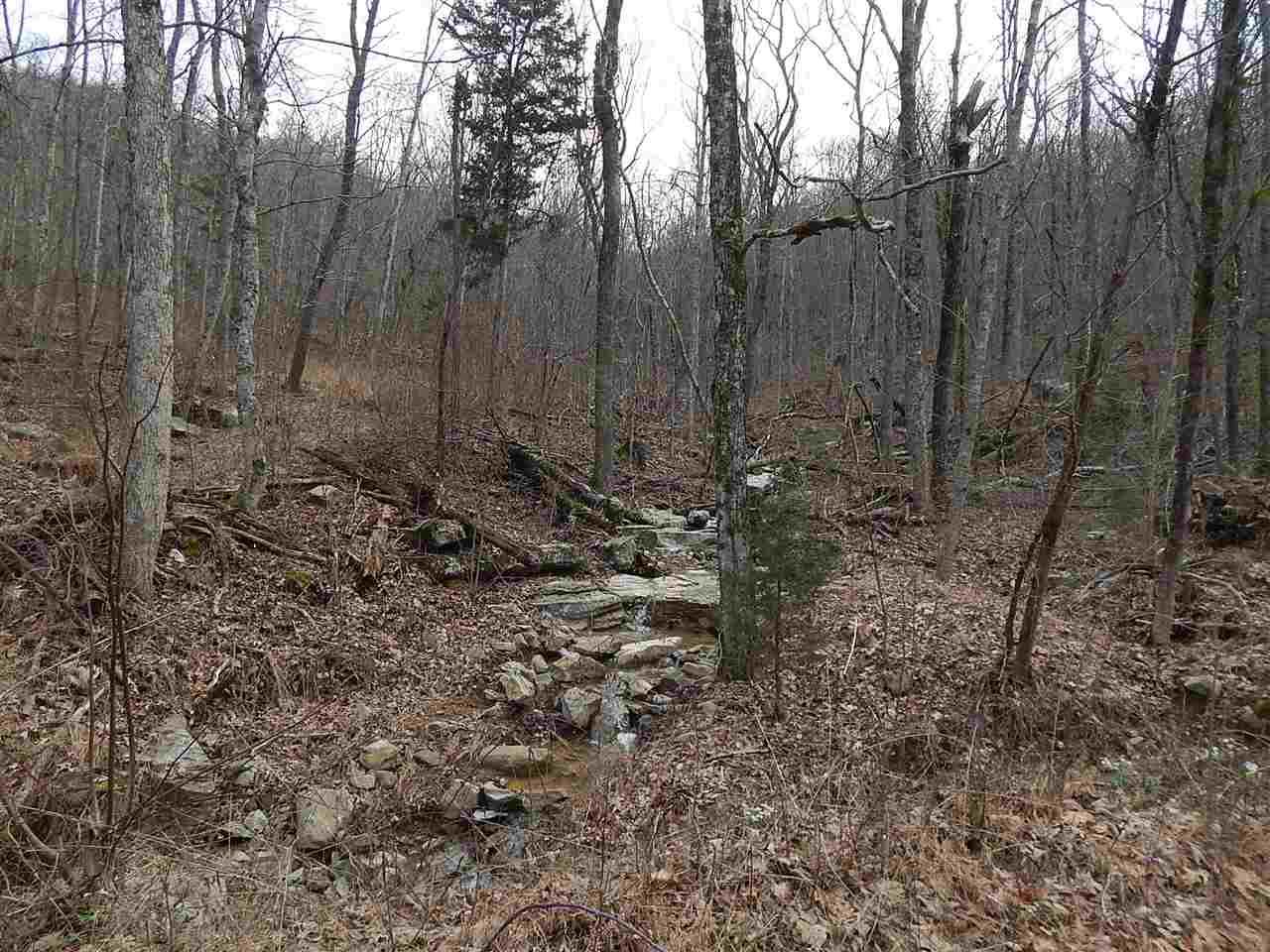 10 County Road 491 - Photo 1