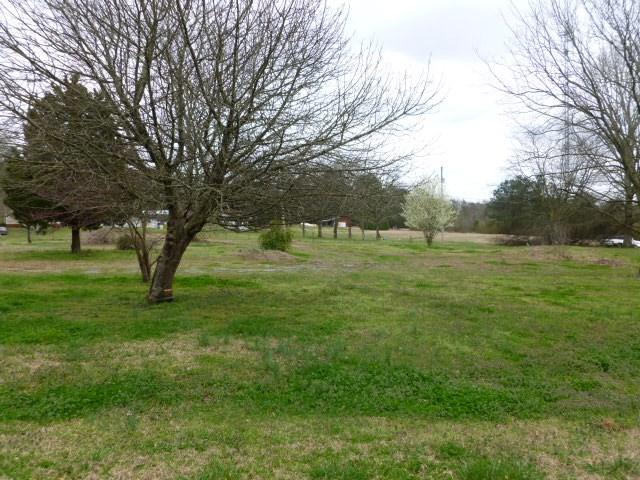 4330 Wyeth Mountain Road - Photo 1