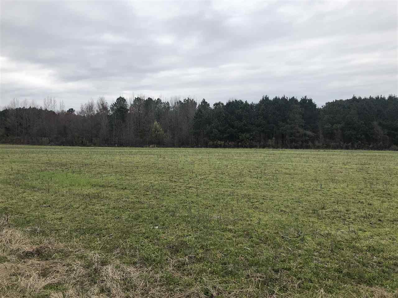 County Road 61 - Photo 1
