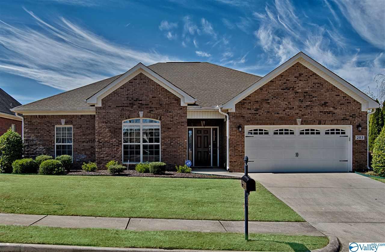 203 Larkhill Lane - Photo 1