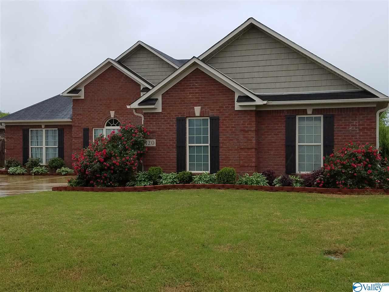 120 Brier Rose Lane - Photo 1