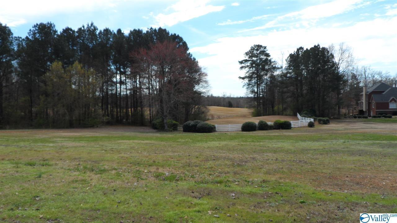 2 Silver Lakes Blvd - Photo 1