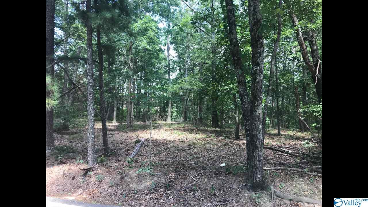 000 South Shawdee Road - Photo 1