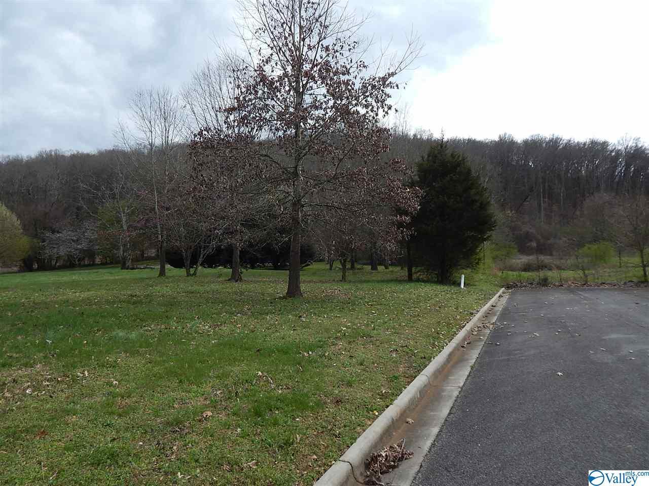 Lake Creek Drive - Photo 1