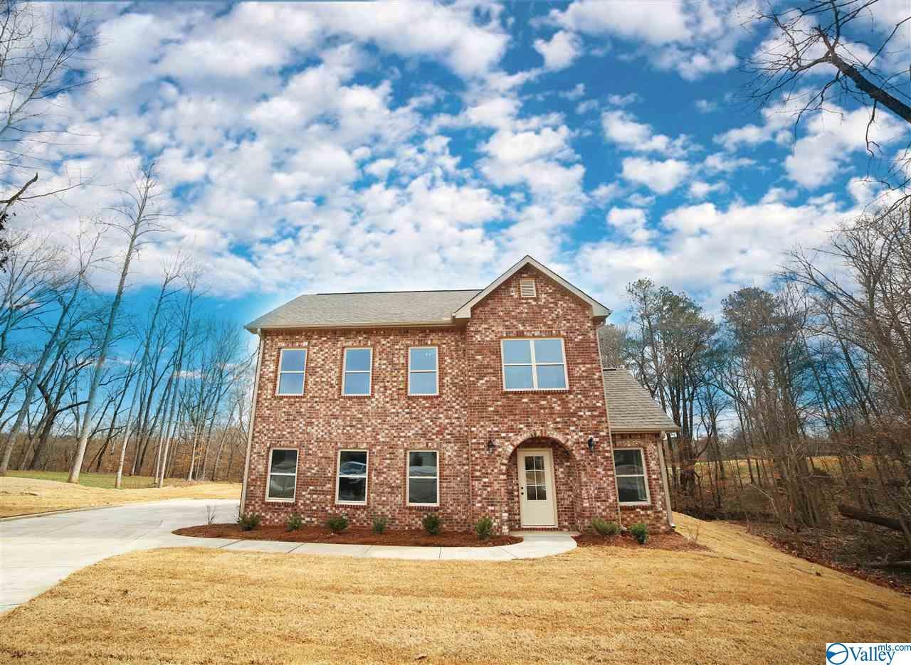 130 Ivy Meadow Circle - Photo 1