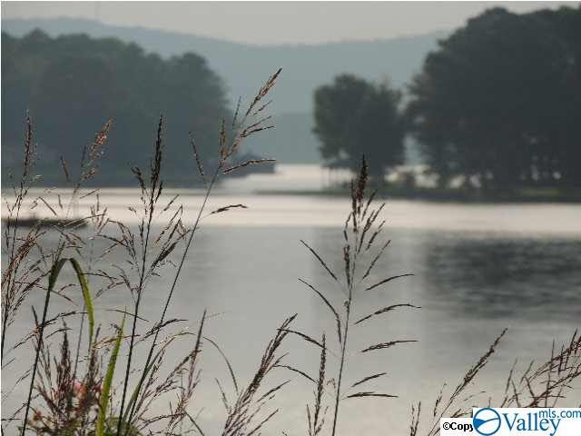 3 County Road 514 - Photo 1