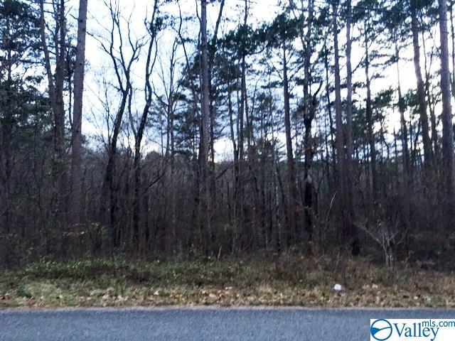 0 Madison Road - Photo 1