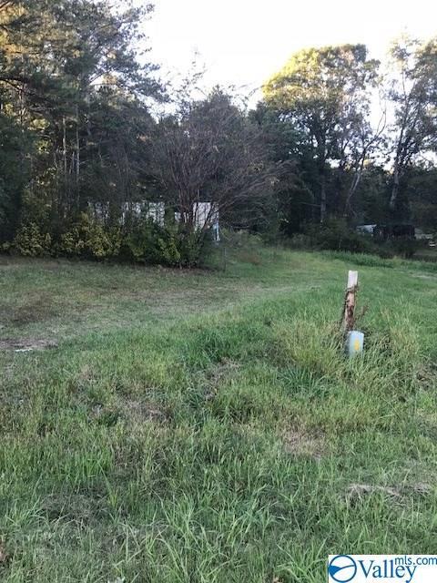 10000 Tabor Road - Photo 1