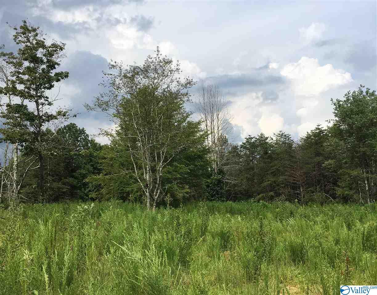 County Road 22 - Photo 1