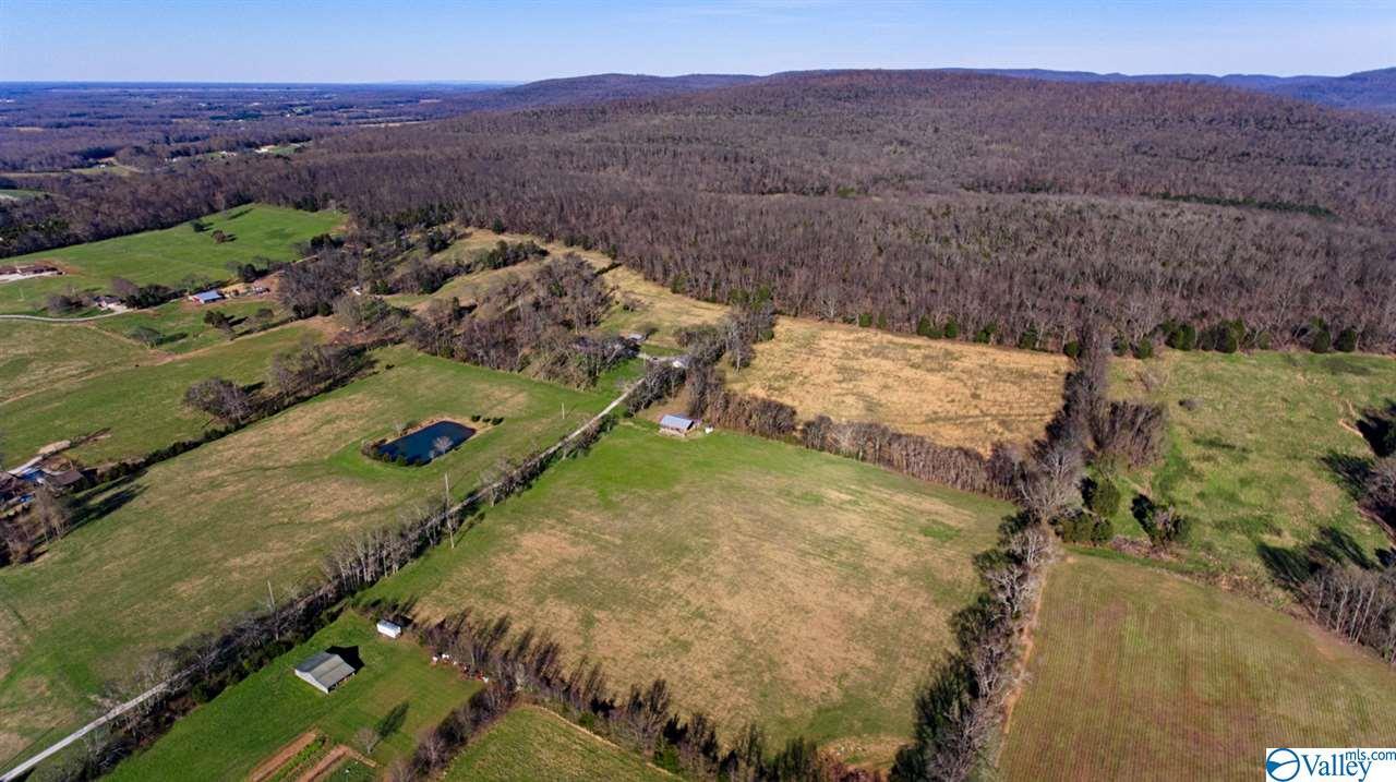 1241 Davis Road - Photo 1