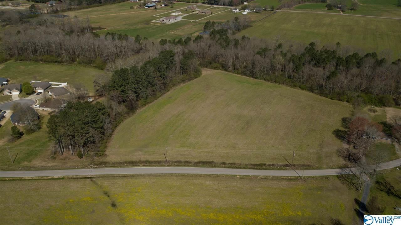 Wilson Mann Road - Photo 1