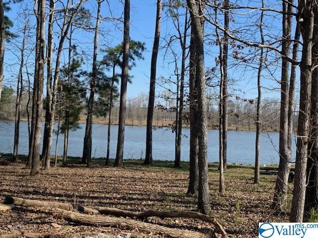 County Road 642 - Photo 1