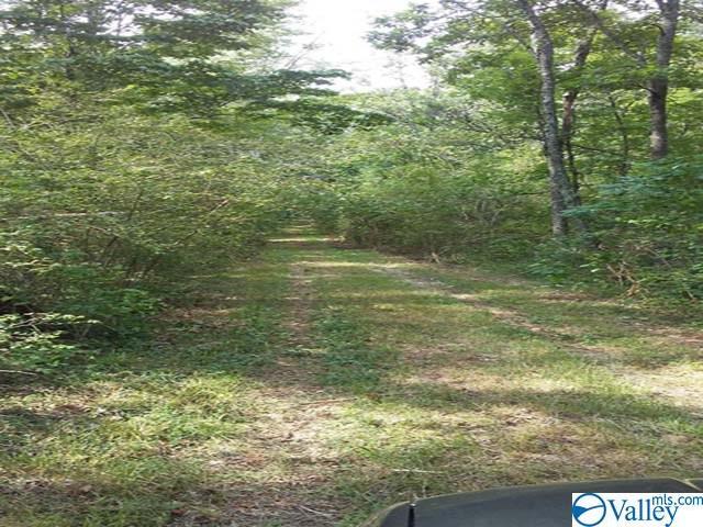 01 County Road 647 - Photo 1