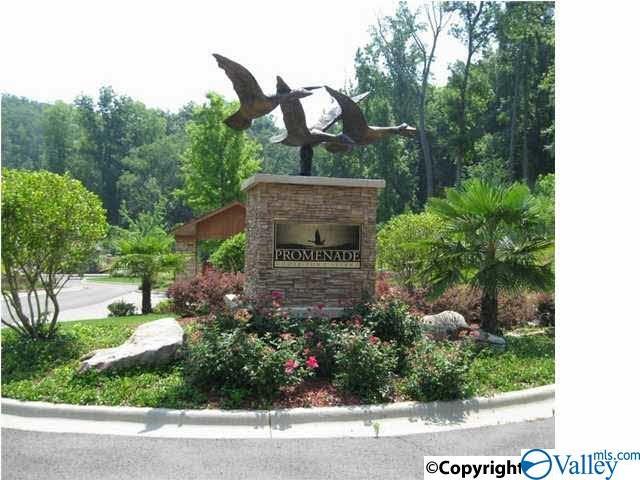 Lot 111 Lookout Mountain Drive - Photo 1