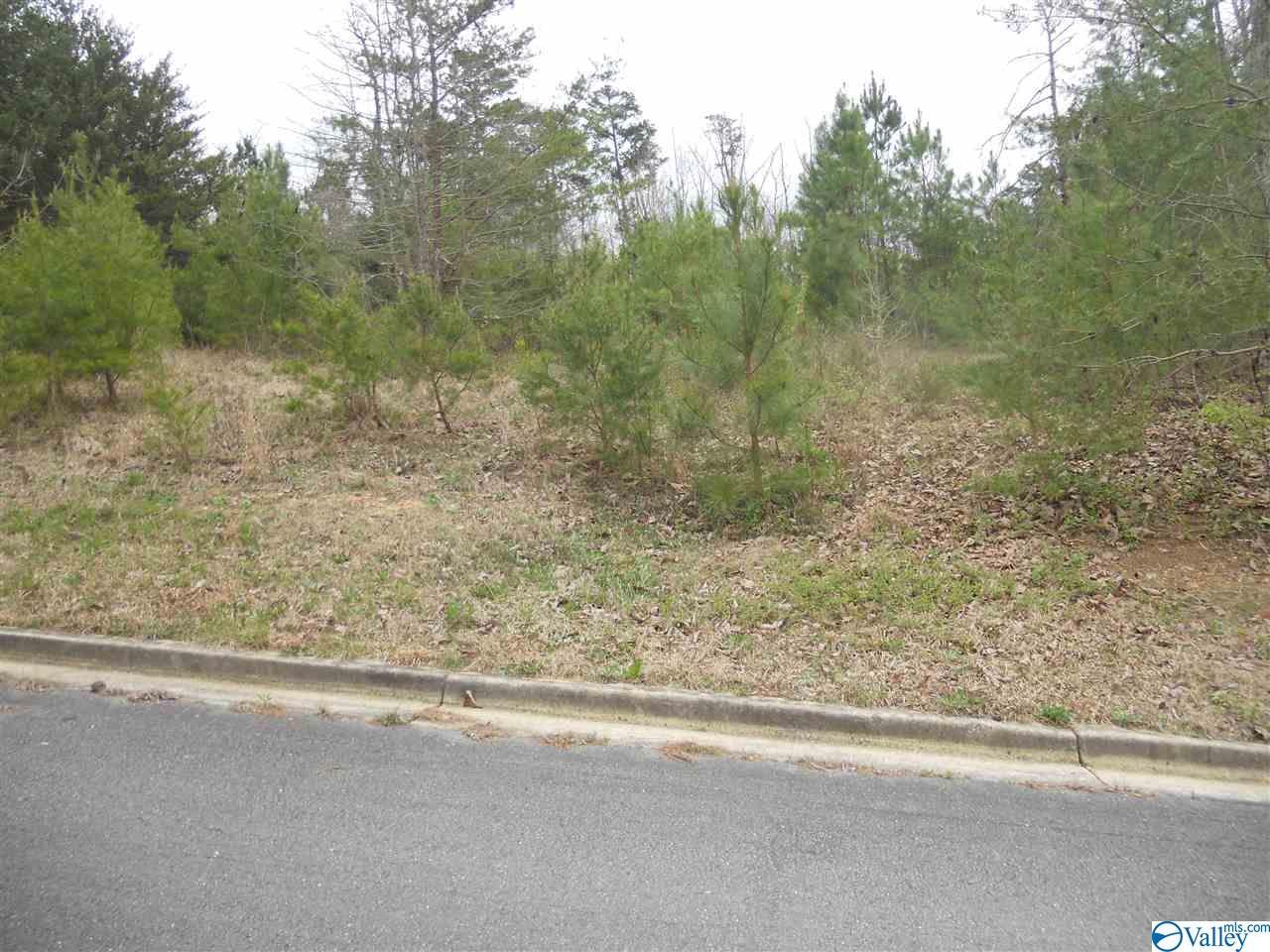 22 Ridgefield Circle - Photo 1