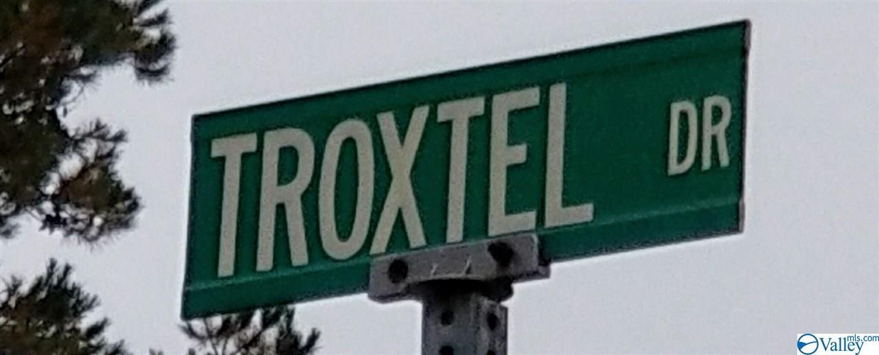 00 Troxtel Drive - Photo 1