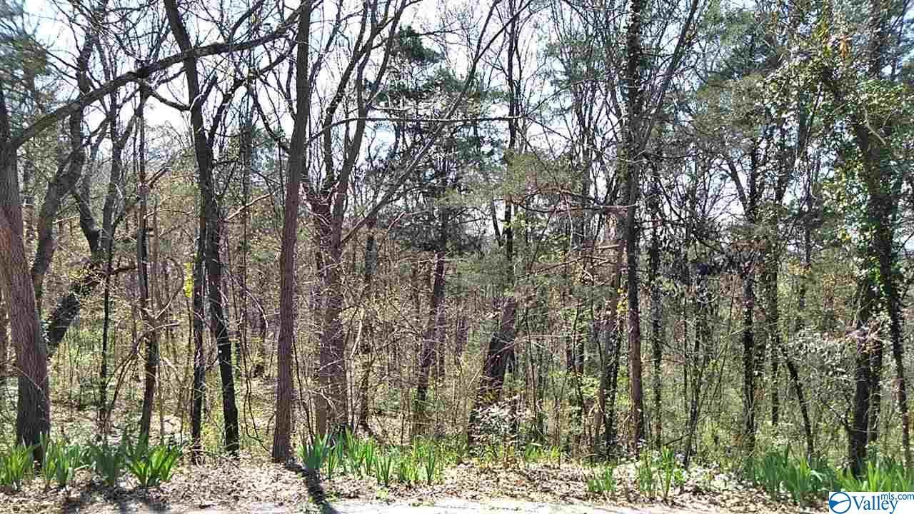 0/124 Cambridge Trail - Photo 1