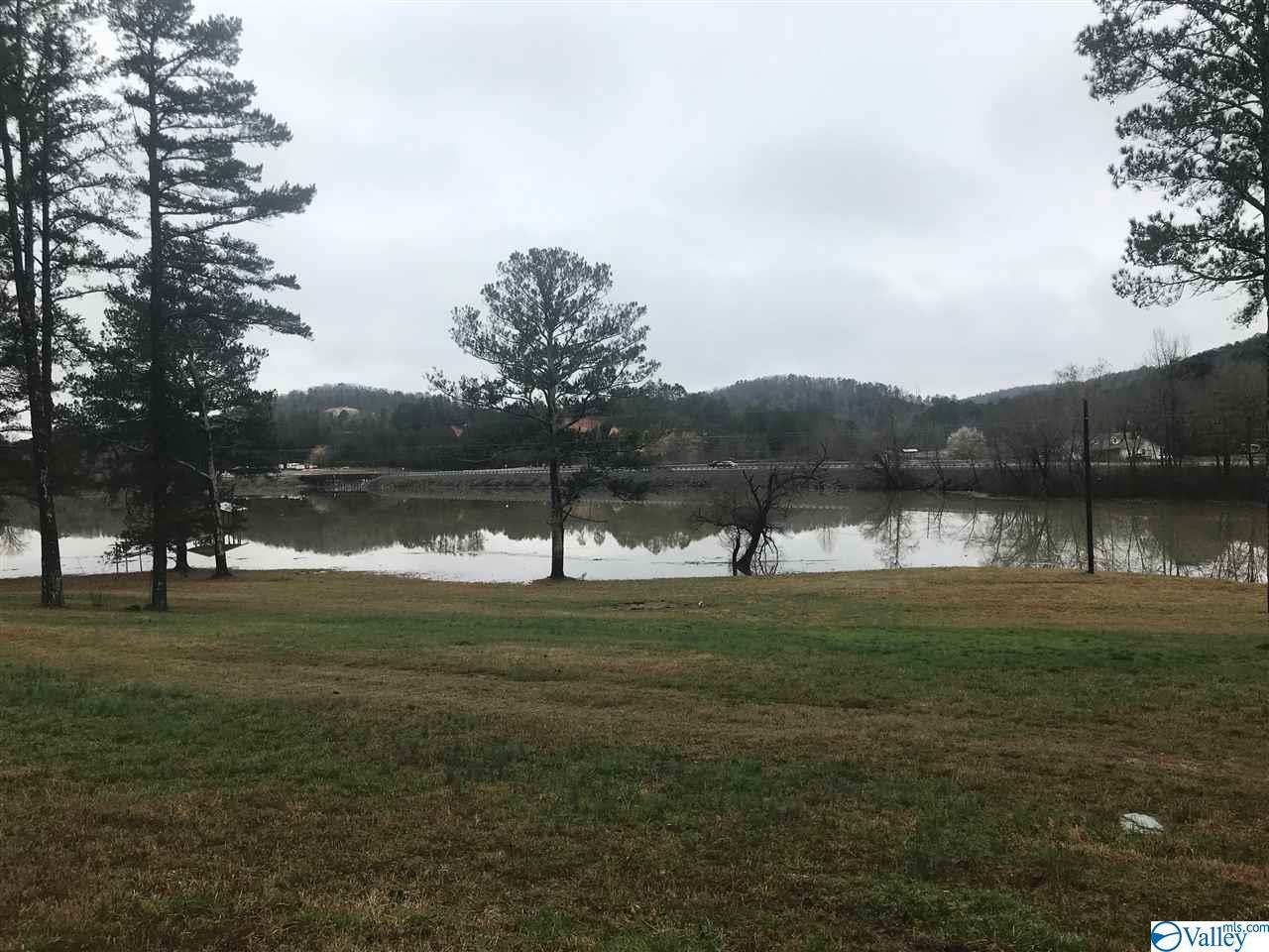 Lot 4 Alabama Hwy 273 - Photo 1