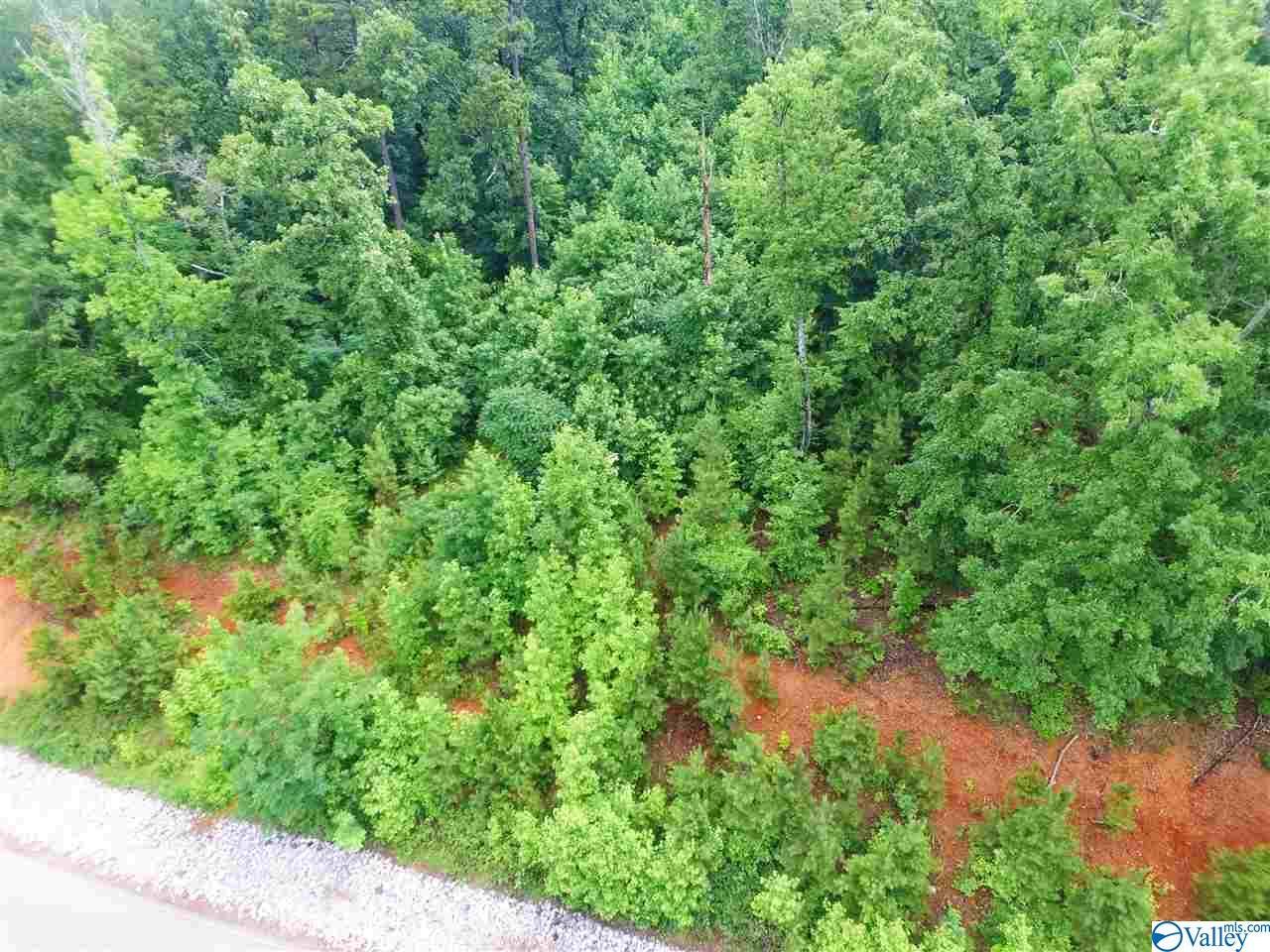 109 Lookout Mountain Drive - Photo 1