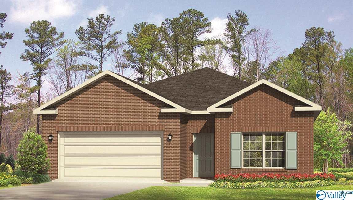 27669 Kosar Crossing - Photo 1