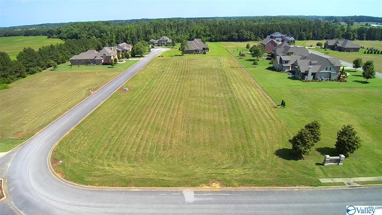 16022 Tulip Lane - Photo 1