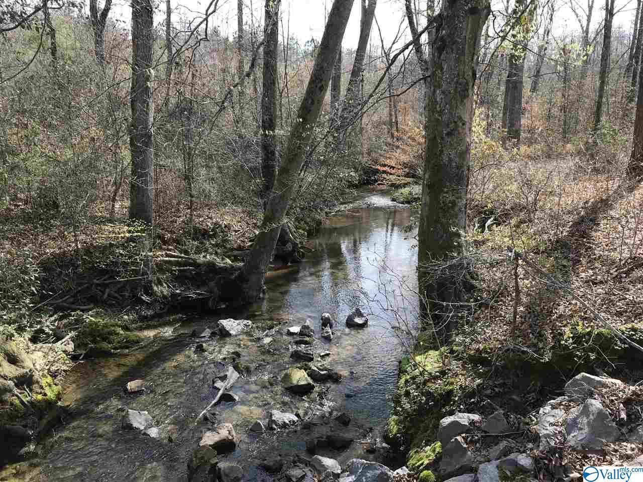 Road 960 - Photo 1