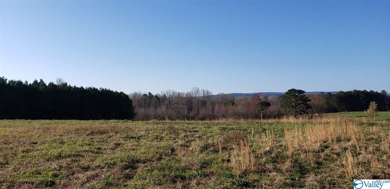 Alabama Highway 68 - Photo 1