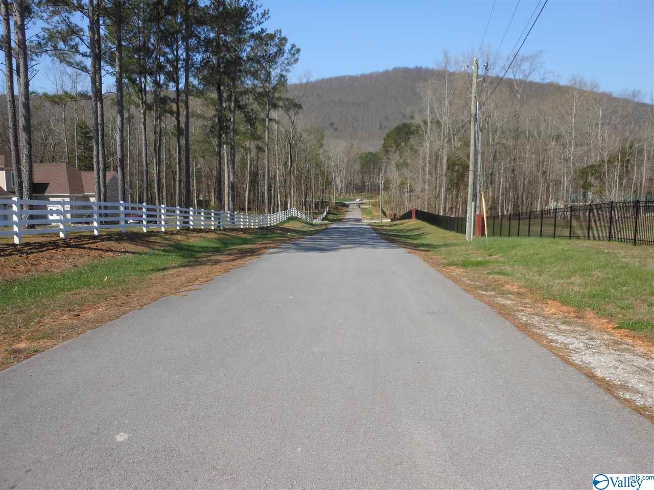 2195 Dug Hill Road - Photo 1