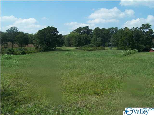 00 Locust Drive - Photo 1