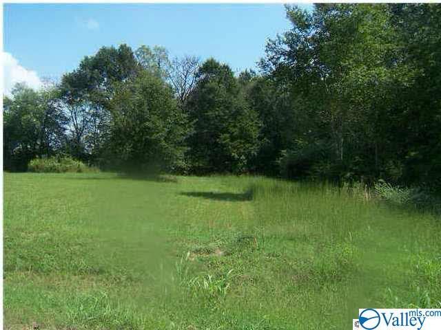 0 Locust Drive - Photo 1