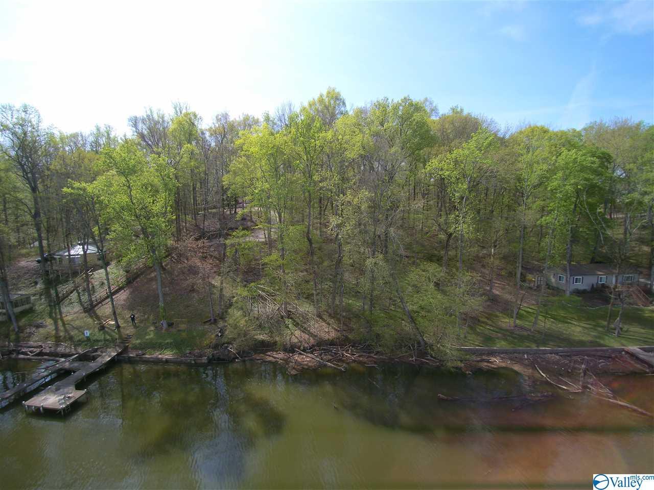 33 Blue Springs Drive - Photo 1