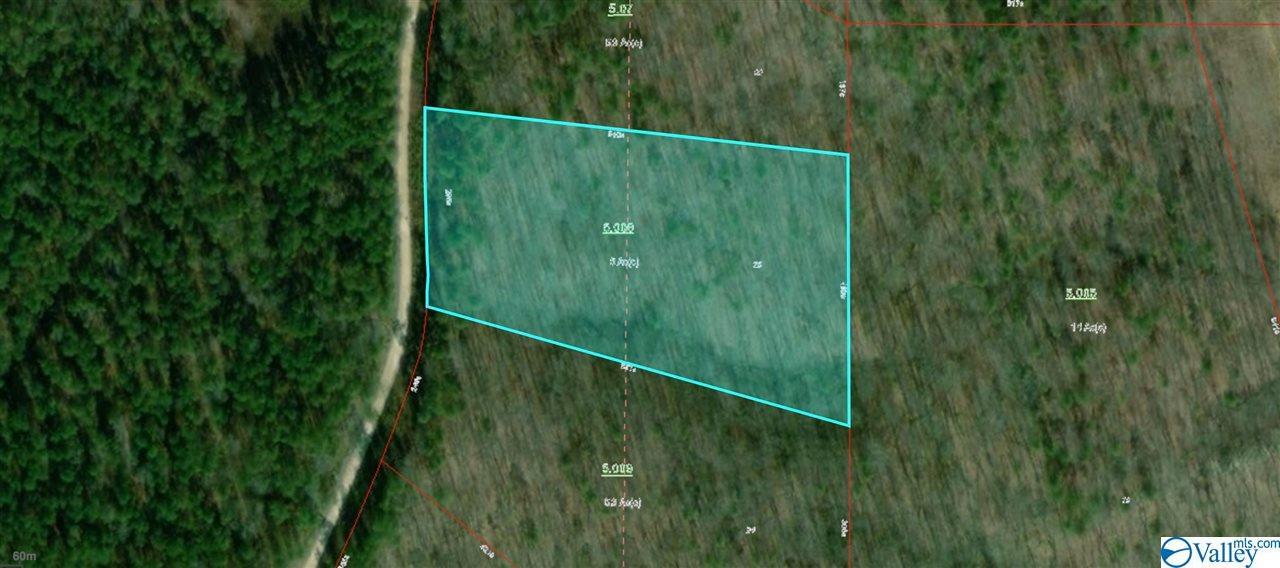 23 County Road 861 - Photo 1