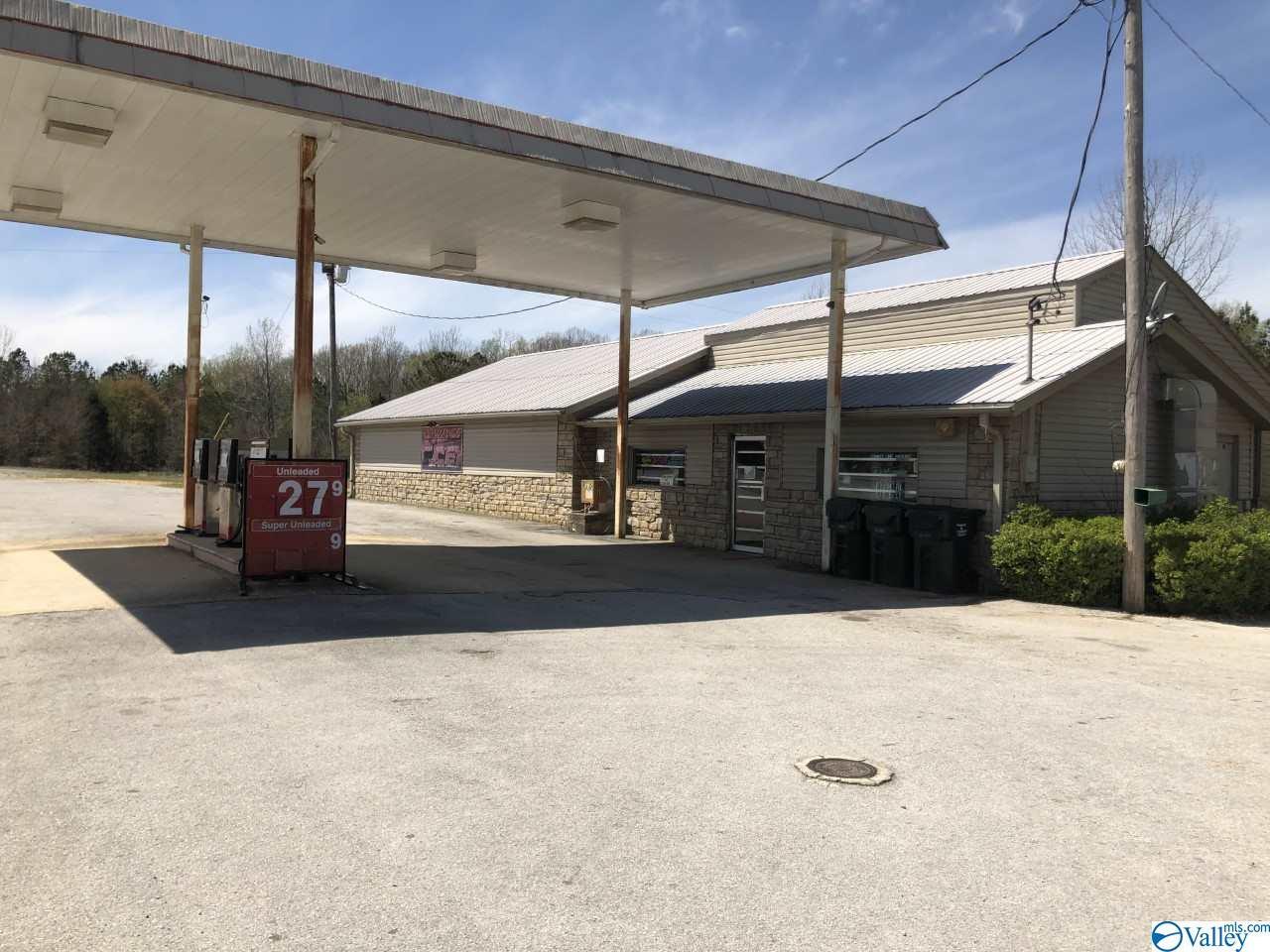 125 Highway 247 - Photo 1